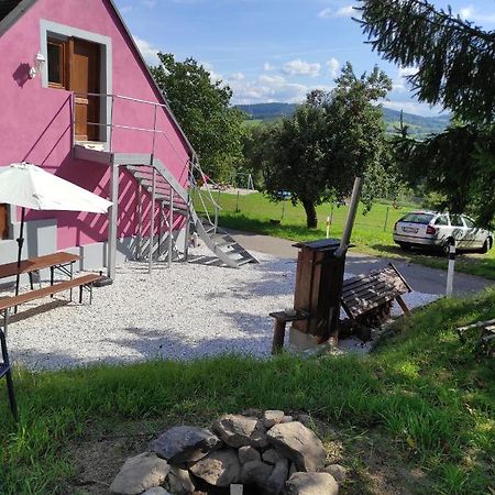 Apartmán u Rybáků v Pošumaví Volenice (Pribram) Exterior foto
