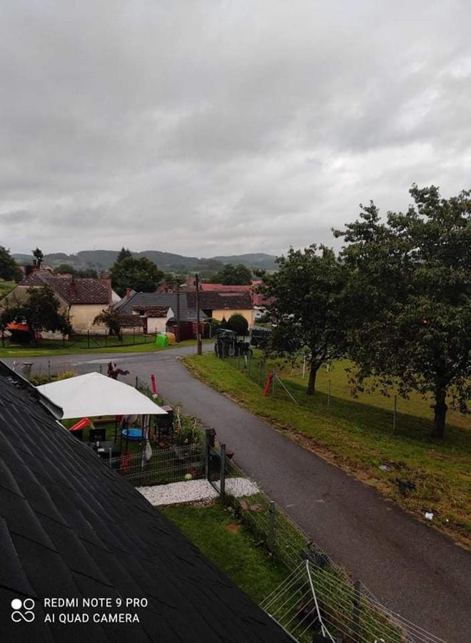 Apartmán u Rybáků v Pošumaví Volenice (Pribram) Exterior foto
